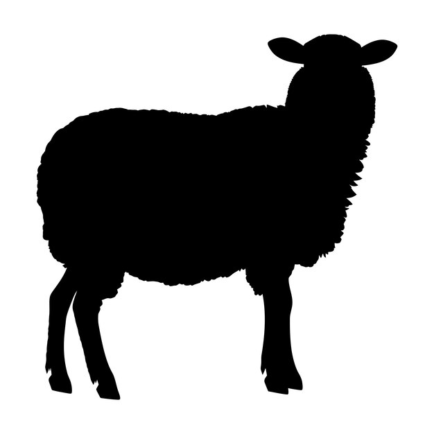 Vector silhouet schapen alleen zwarte kleur