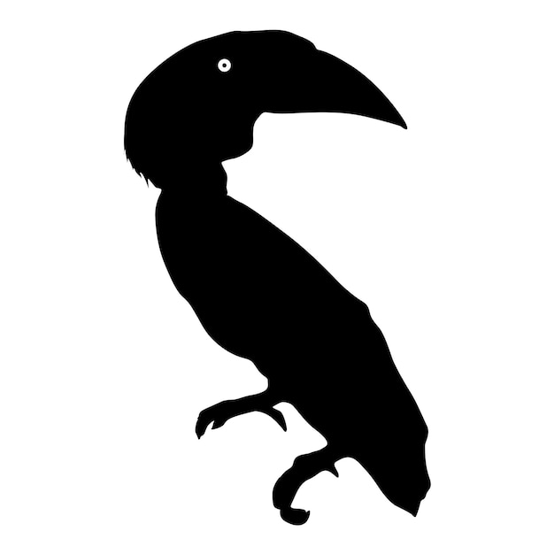 Vector silhouet van de vogeltoekan op een witte achtergrond