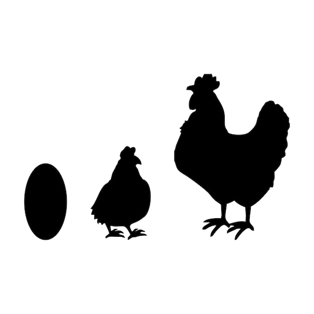 Silhouet van de volgorde of levenscyclus van een kip
