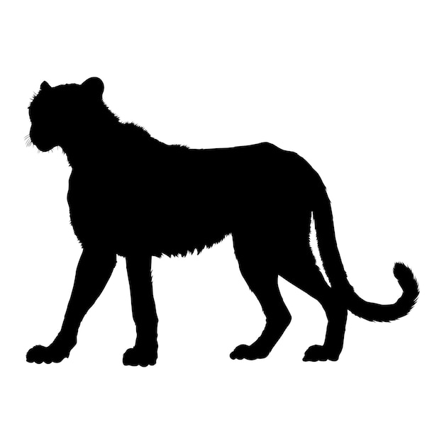 Vector silhouet van een cheetah op een witte achtergrond