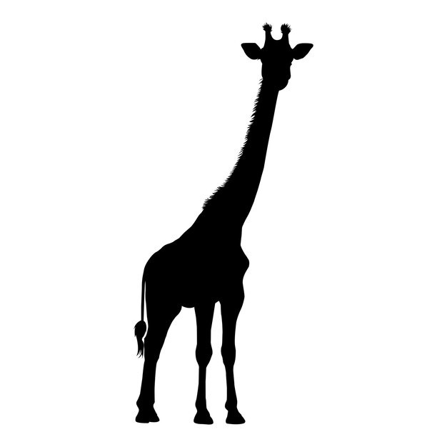 Vector silhouet van een giraffe op een witte achtergrond