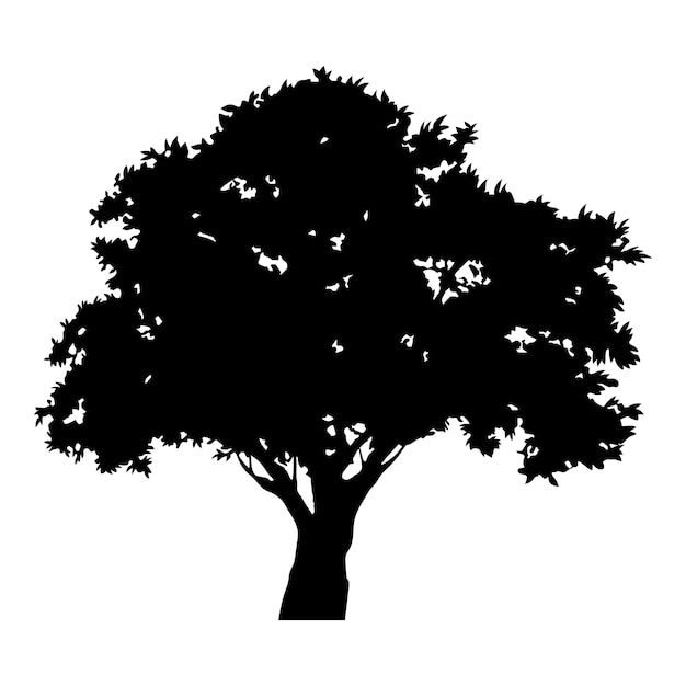 Silhouet van een grote boom met een brede spreidende kroon