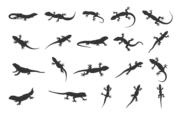 Vector silhouet van een hagedis gecko silhouet van een hagedis