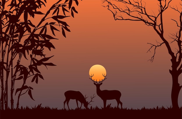 Silhouet van een hert bij zonsondergang