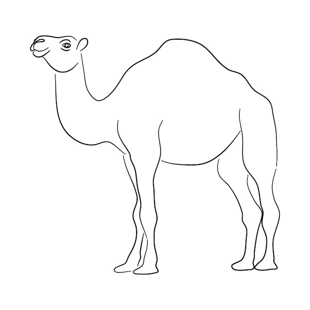 Silhouet van een kameel gemaakt in schetsstijl Vector illustratie