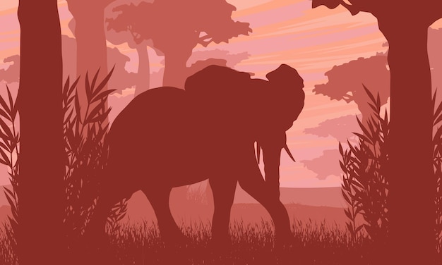 Silhouet van een olifant in de Afrikaanse savanne met baobabbomen en vegetatie Vectorlandschap