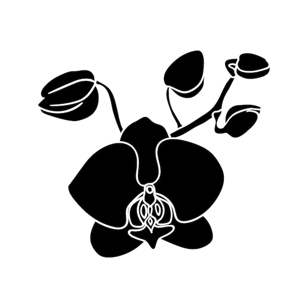 Silhouet van een orchideebloem en kleine knoppen Een eenvoudige knop van een tropisch bloembotanisch patroon