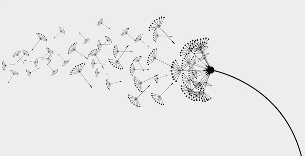 Vector silhouet van een paardebloem met vliegende zaden