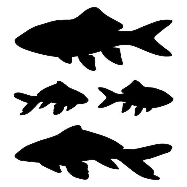 Vector silhouet van koi-vis