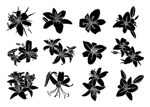 Silhouet van lily bloem in een eigentijdse eenvoudige abstracte stijl op een witte achtergrond. vectorillustratie voor t-shirt afdrukken, kaart, poster
