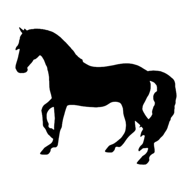 silhouet van paarden Geïsoleerde zwart op witte achtergrond Zijaanzicht