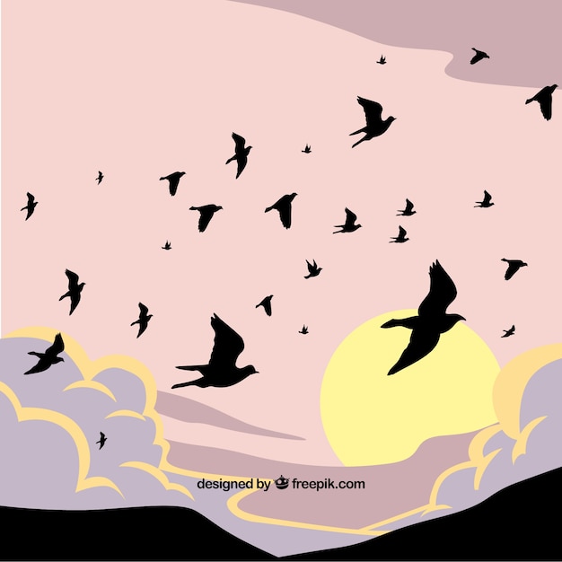 Silhouet vliegende vogel achtergrond