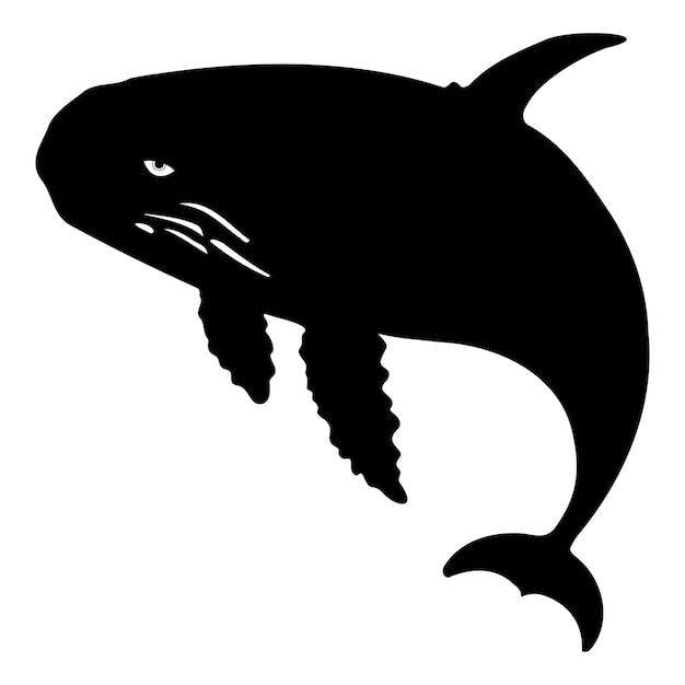 Silhouet walvis vector