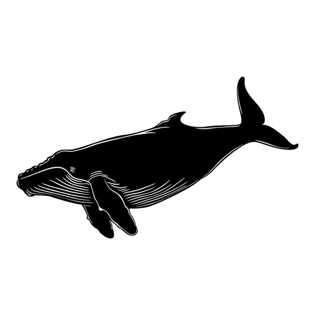 Silhouet walvis zwarte kleur alleen het hele lichaam