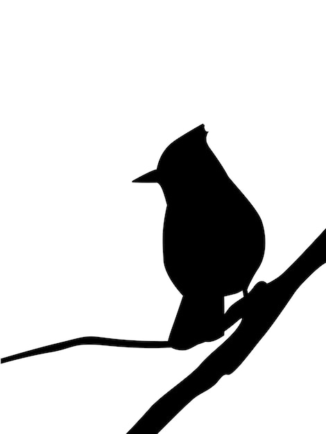 Vector silhouetbeeld van een vogel