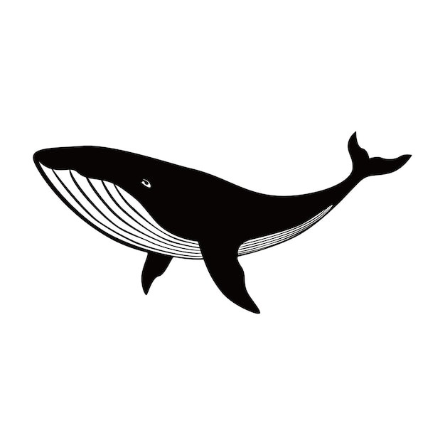 Silhouetontwerp van een bultrugwalvis, zeezoogdier, dierenteken en symbool