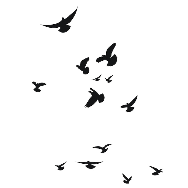 Silhouetschets van een zwerm vliegende vogels die in verschillende posities vliegen