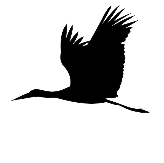 Vector silhouette of an aist flies on a white background