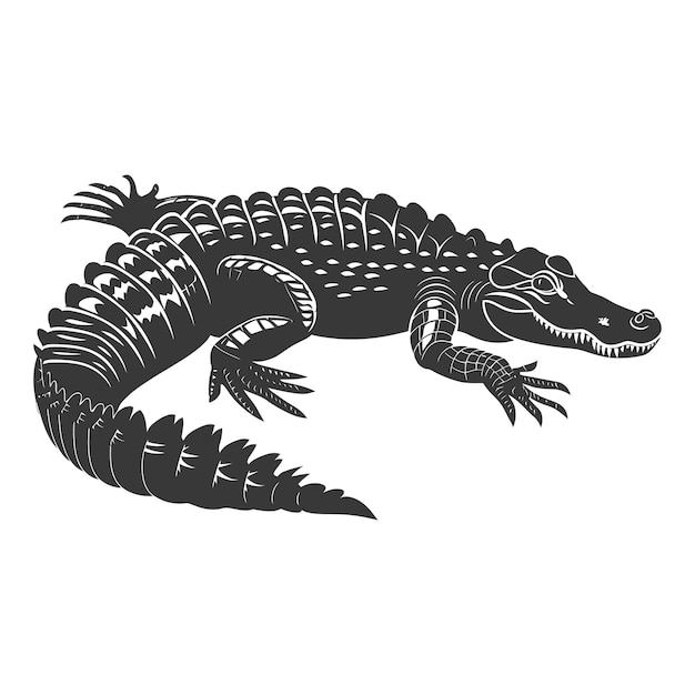 Vector silhouette alligator animal black color only full body