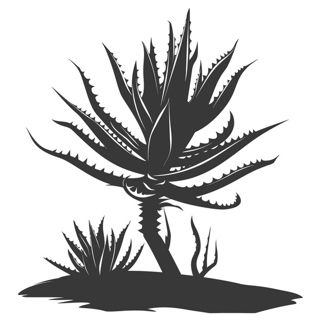 Vector silhouette aloe vera tree in the ground black color only