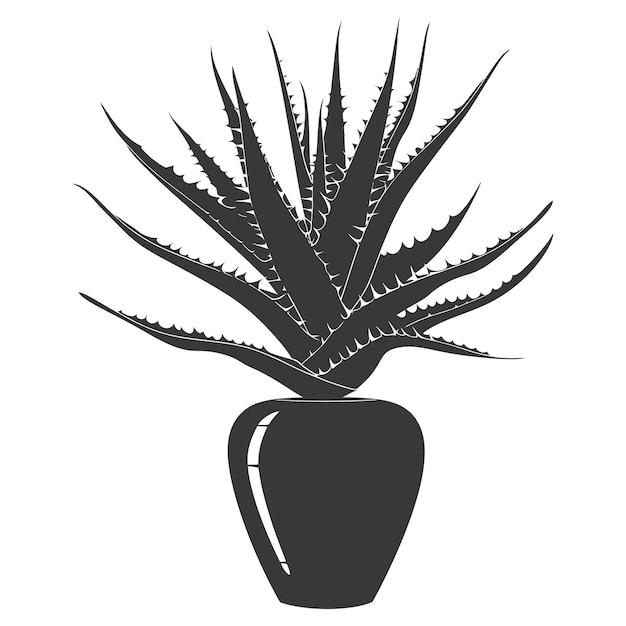 Vector silhouette aloe vera tree in the vase black color only