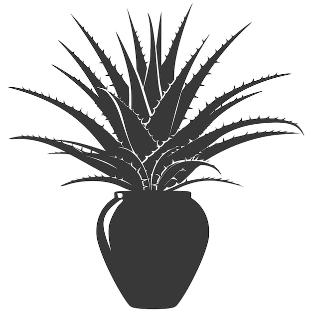 Vector silhouette aloe vera tree in the vase black color only