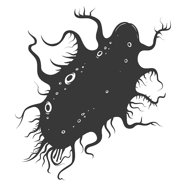 Vector silhouette amoeba animal black color only