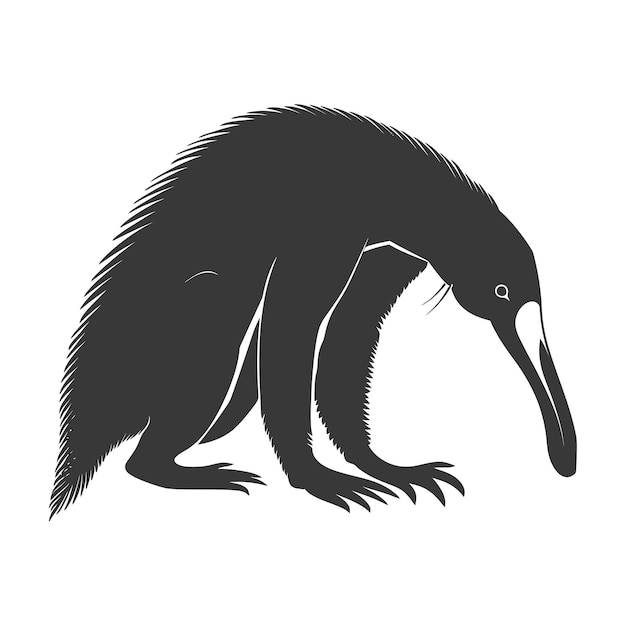 Vector silhouette anteater animal black color only full body