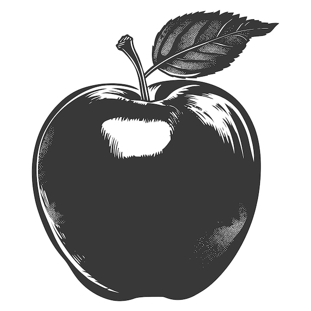 Vector silhouette apple fruit black color only