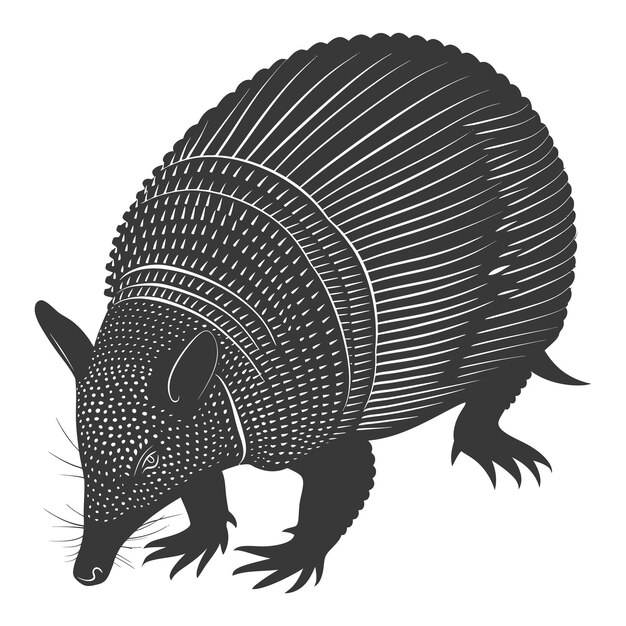 Vector silhouette armadillo animal black color only full body