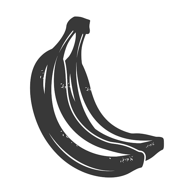 Vector silhouette banana fruit black color only