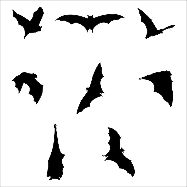 Vector silhouette bat