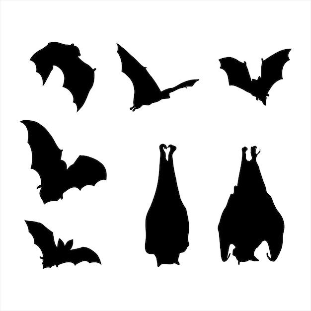 Silhouette of bats, halloween elements