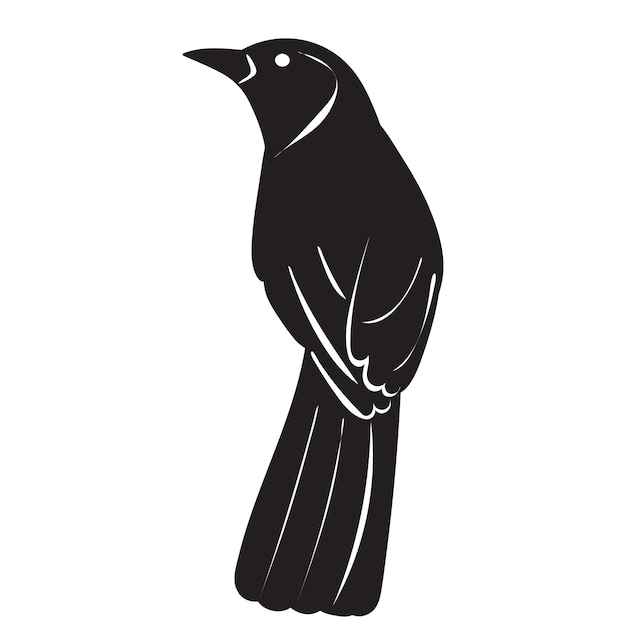 Vector silhouette black bird isolated vector