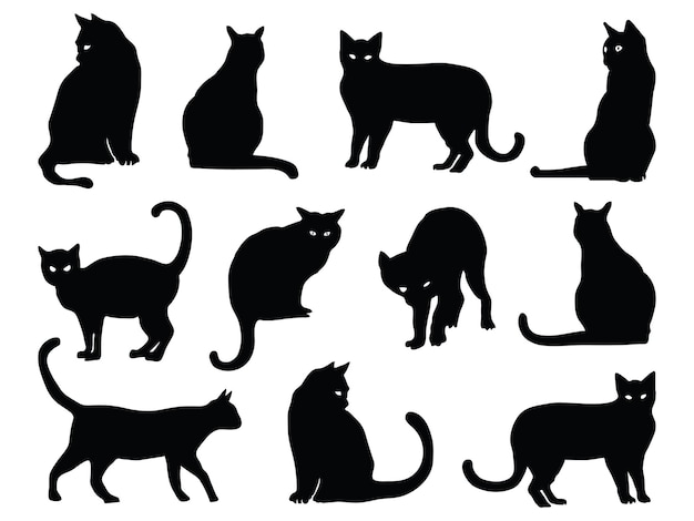 silhouette of a black cat a halloween silhouette element