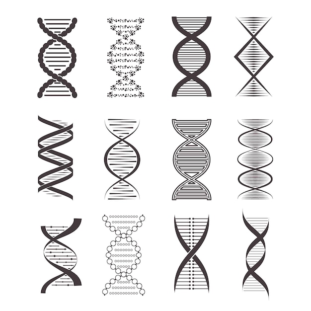 Vector silhouette black dna icon set vector