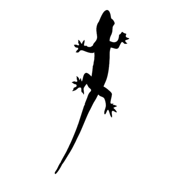 silhouette of a black lizard crawling