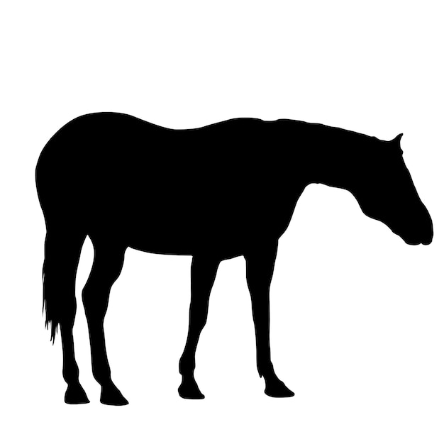 Silhouette of black mustang horse vector illustration