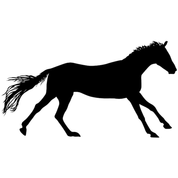 silhouette of black mustang horse on a white background