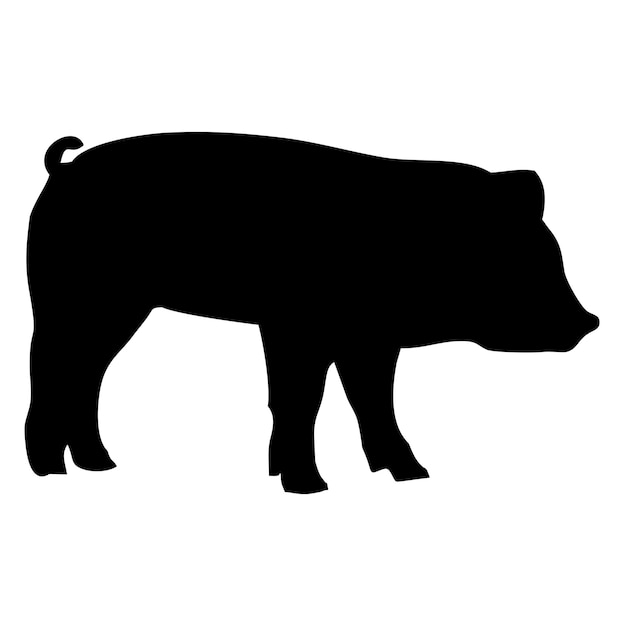 silhouette of a black pig walking