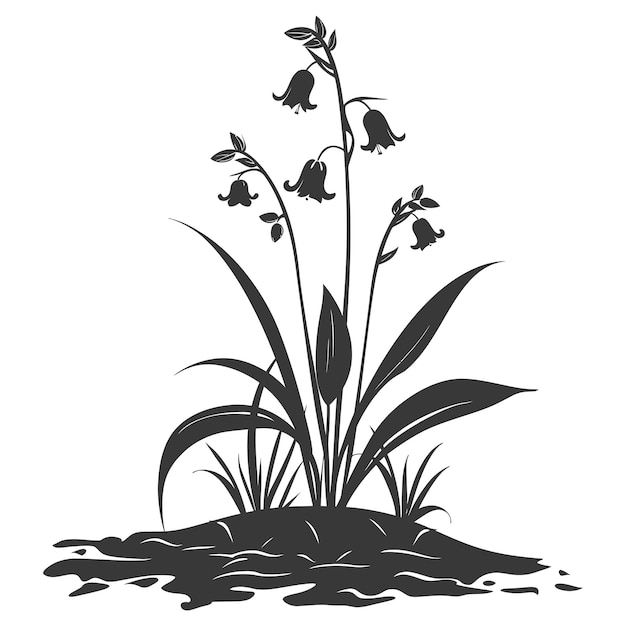 Vector silhouette bluebell flower in the ground black color only