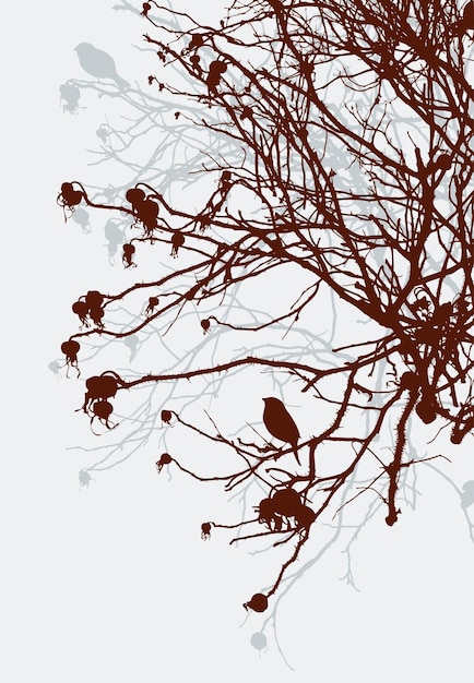 Vector silhouette of bushes of wild roses in winter