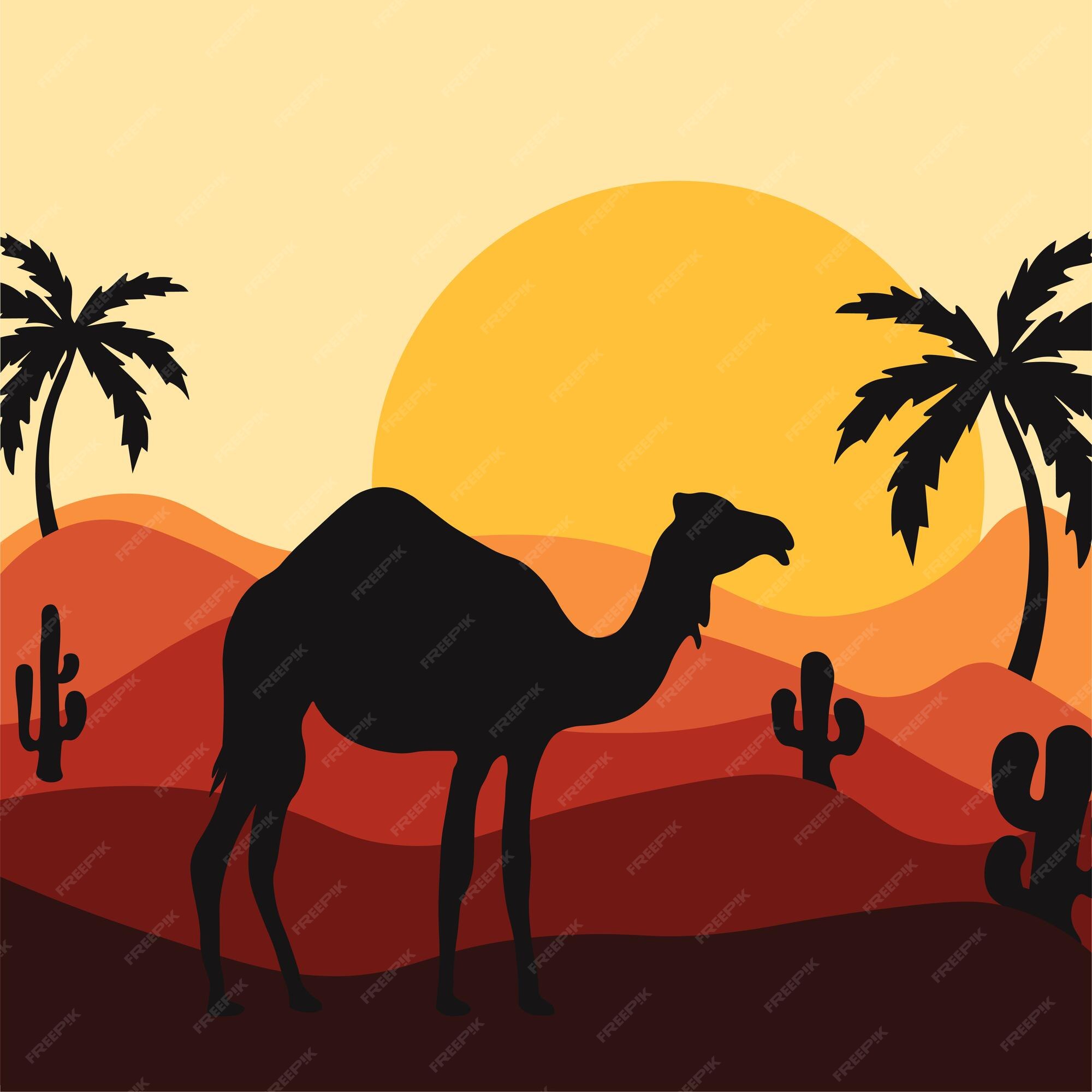 Premium Vector | Silhouette of a camel on the background of the desert and  desert landscape under the sunset sky