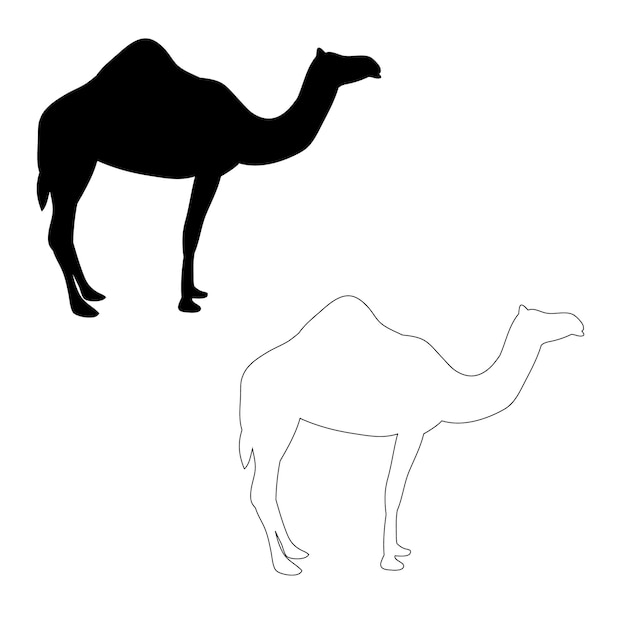 Silhouette of a camel