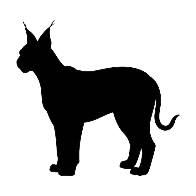 Vector silhouette of a caracal on white