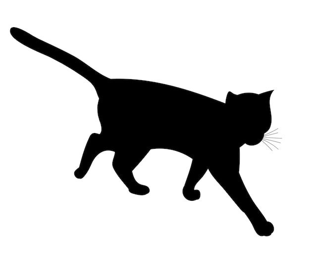 silhouette of a cat is going