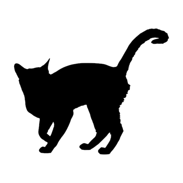 silhouette of a cat on a white background