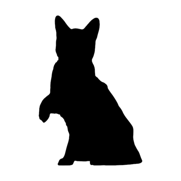 silhouette of a cat on a white background