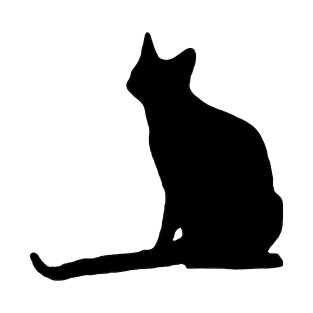 silhouette of a cat on a white background