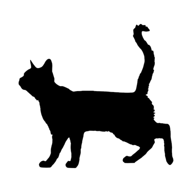 silhouette of a cat on a white background